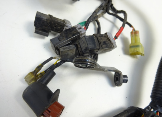 Kabelboom KTM 690 Duke 4