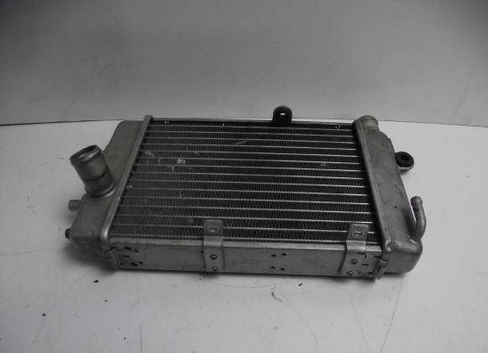 Radiateur Aprilia Falco