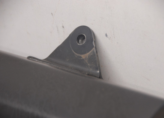 Auspuff Harley Davidson Pan America