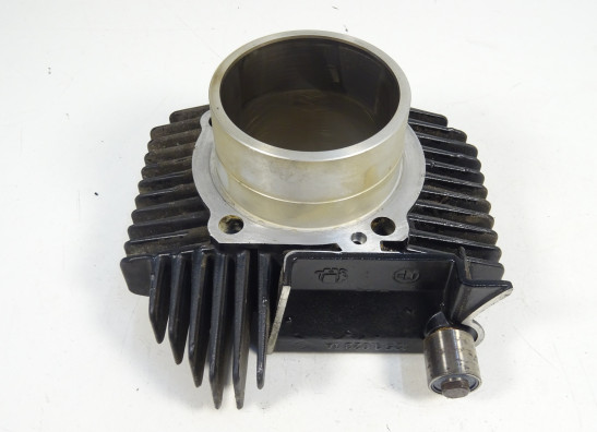 Zylinder Ducati monster 600