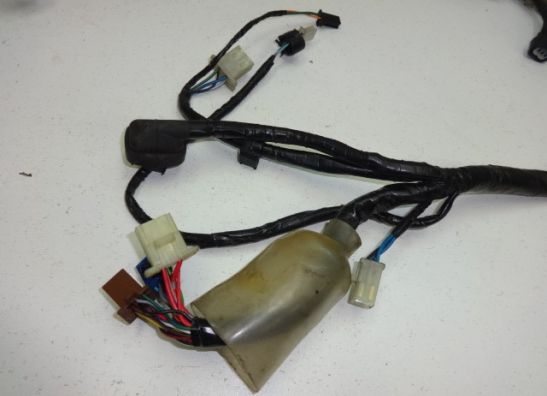 Kabelbaum Honda CBF 600