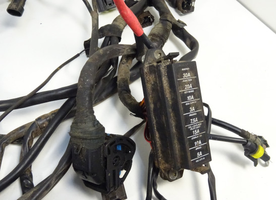 Kabelboom Ducati monster 600