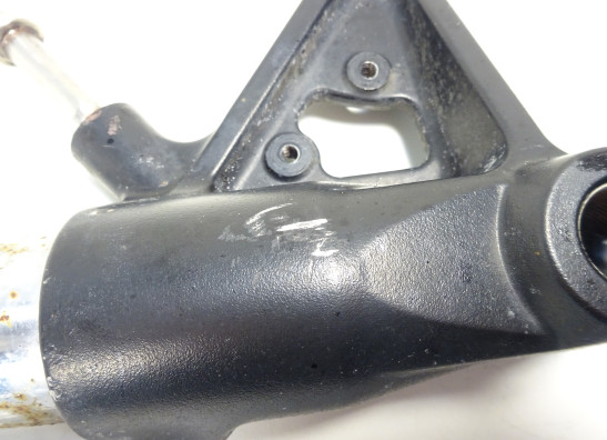 Front Fork left complete Triumph Tiger 1050