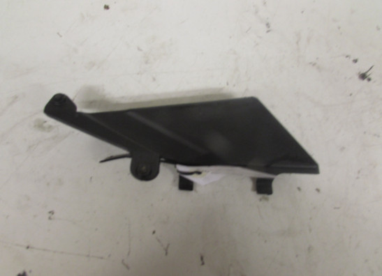 Sonstiges Aprilia Tuono 1000