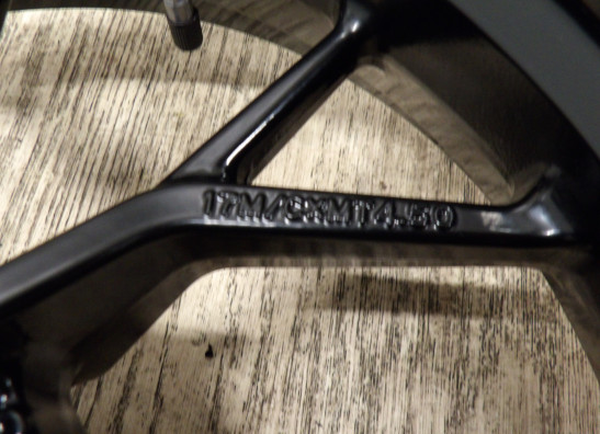 Achtervelg Ducati Multistrada 950