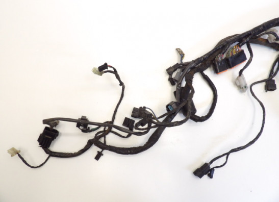 Kabelbaum Kawasaki VERSYS 650