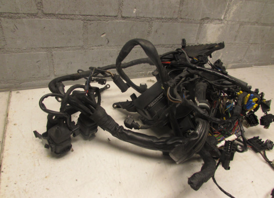 Kabelboom BMW K 1200 RS