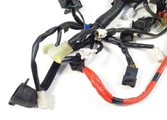 Wire Harness Yamaha MT 09