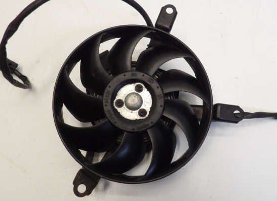 Fan Suzuki DL 1000 V STROM