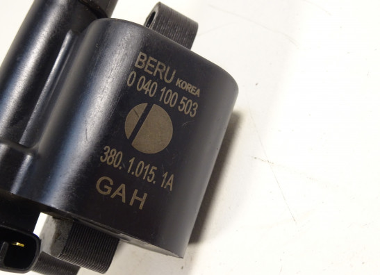 Bobine Ducati monster 1100