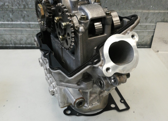 Cilinderkop Aprilia RSV 1000