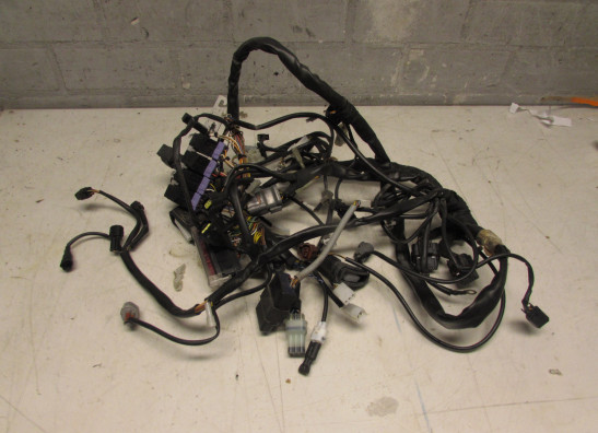 Kabelboom KTM 990 SM + SMT