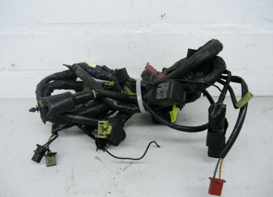 Wire Harness Honda CBR 1000 F