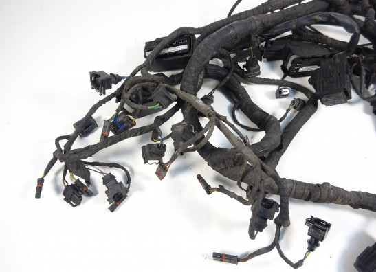 Kabelboom voor BMW K 1200 S 