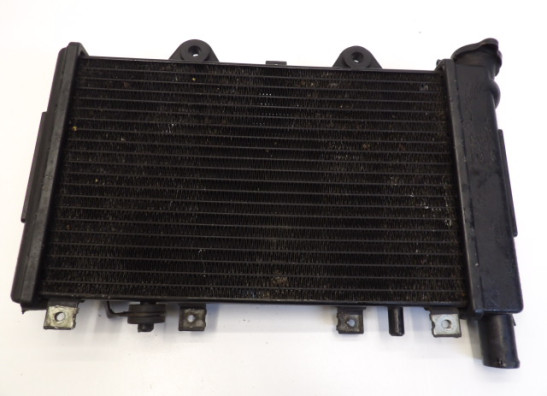 Kuhler Triumph Trophy 900