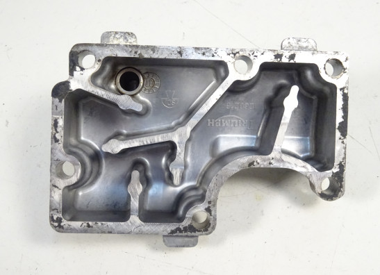 Engine cover Triumph Street Triple 675