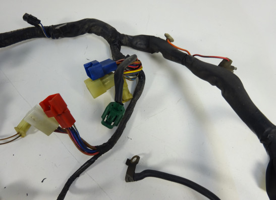 Wire Harness Yamaha TDM