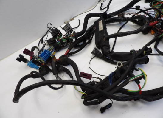 Kabelboom BMW R 1100 S