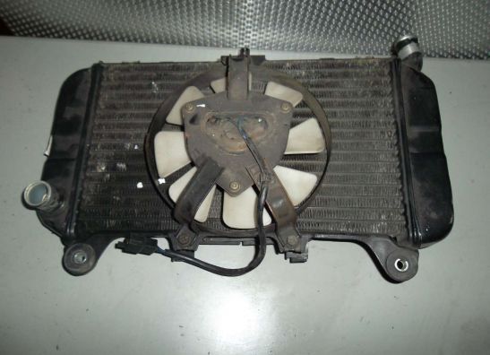 Radiateur Kawasaki ZZR 600