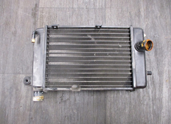Radiateur Aprilia RSV 1000