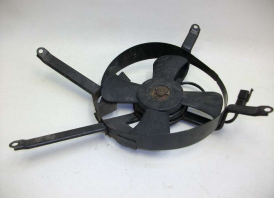 Fan Kawasaki ZX 9 R