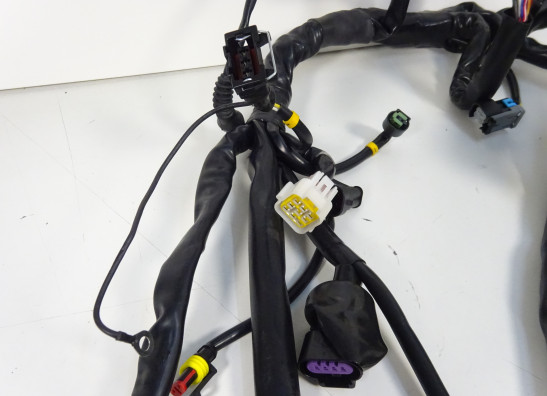 Kabelboom Benelli 302 R