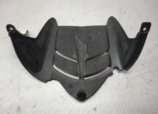 Achterspatbord Kawasaki ZX 6 R