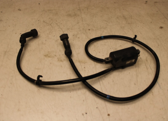 Bobine Yamaha XJ 900 S Diversion