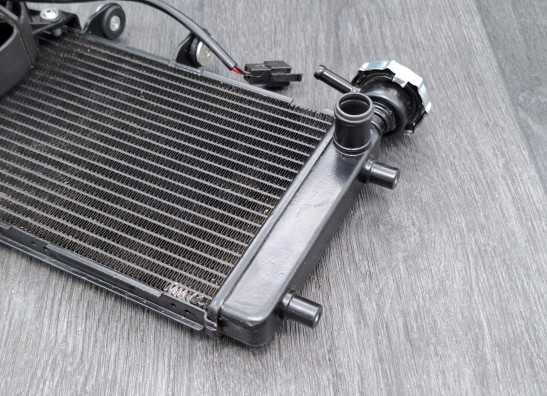 Radiateur Caballero - Fantic Deluxe 125