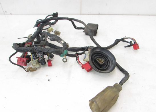 Wire Harness Honda CBR 600 F