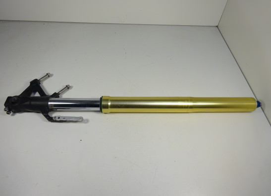 Front Fork right complete Triumph Tiger 1050