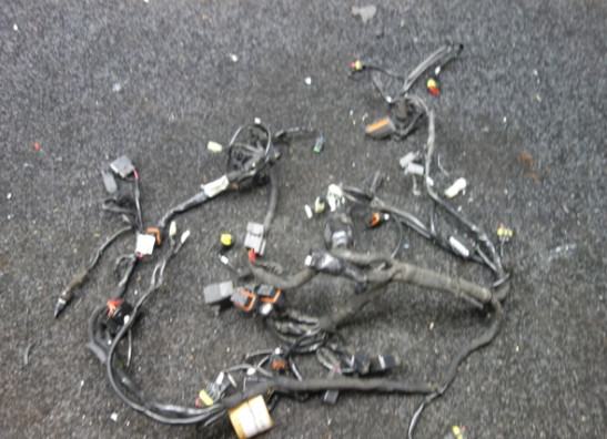 Wire Harness Ducati Multistrada 1200