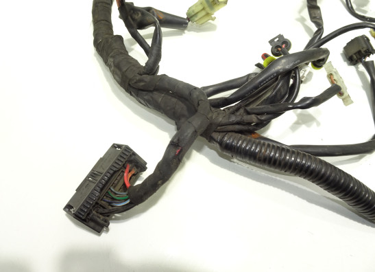 Kabelbaum KTM 1290 Super duke