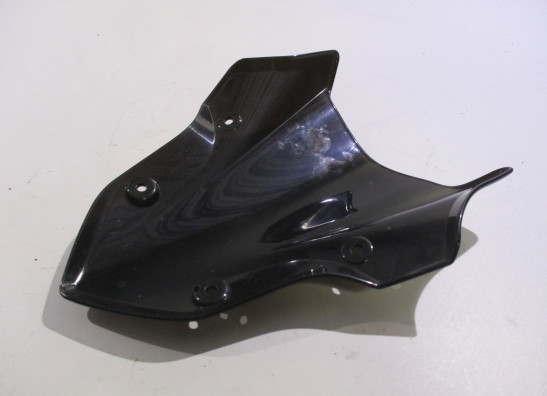 Windschild Kawasaki Z 900