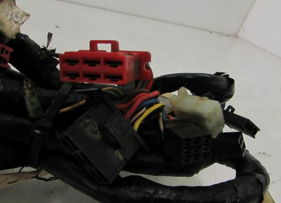 Kabelbaum Honda CBR 600 F