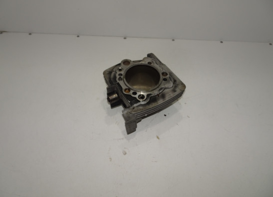 Cilinderblok Ducati monster 900