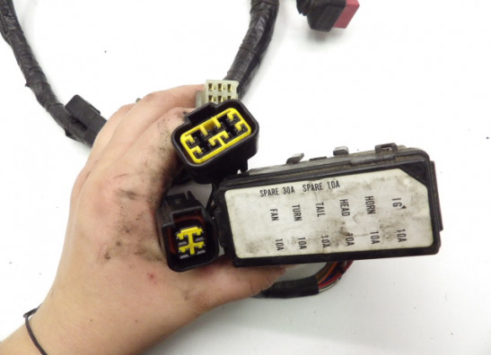 Kabelbaum Kawasaki ER 5