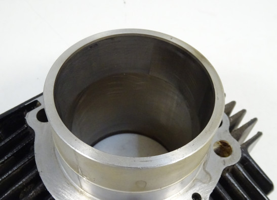 Zylinder Ducati monster 600