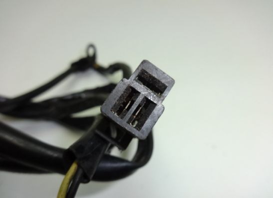 Dynamo Kawasaki ZZR 250