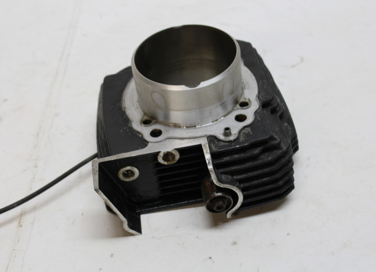 Cilinderblok Ducati monster 696