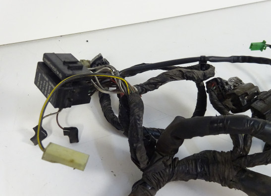 Kabelbaum Kawasaki ER 6