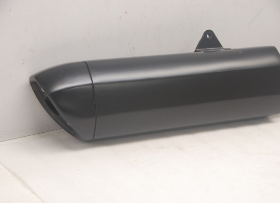 Auspuff Harley Davidson Pan America