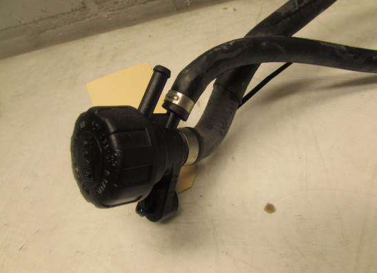 Engine parts Aprilia Tuono 1000