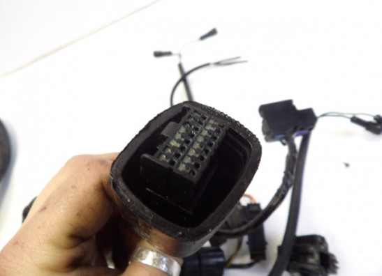 Kabelboom Triumph Sprint RS