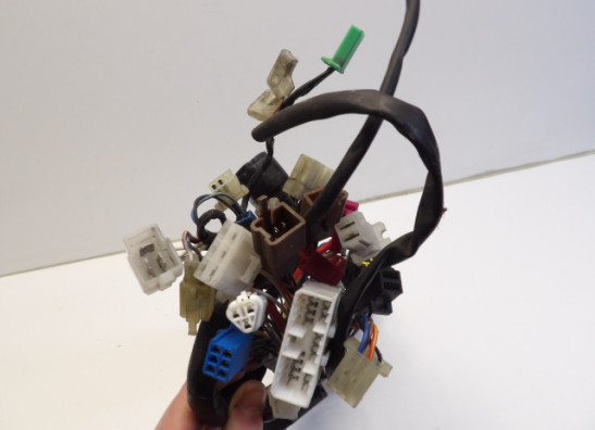Wire Harness Yamaha FAZER 600