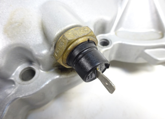 Kupplungsdeckel Aprilia RSV 1000