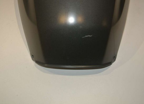 Tankschutz BMW R 1200 GS