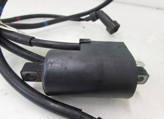 Bobine Yamaha XJ 900 S Diversion