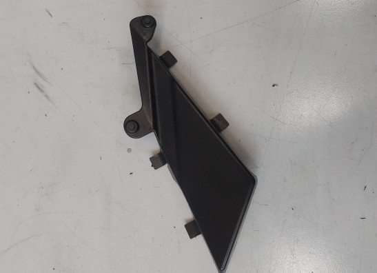 Afdekkap Aprilia Tuono 1000