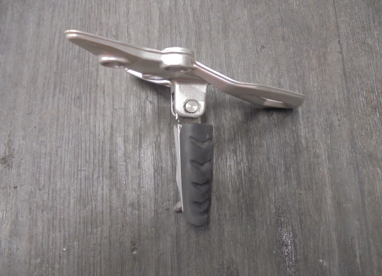 Schetsplaat links BMW R 1250 R